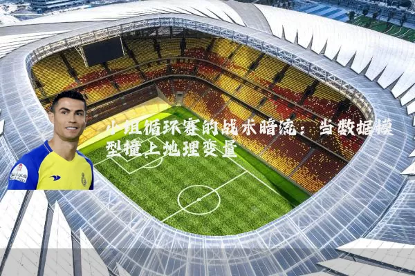 小组循环赛的战术暗流：当数据模型撞上地理变量